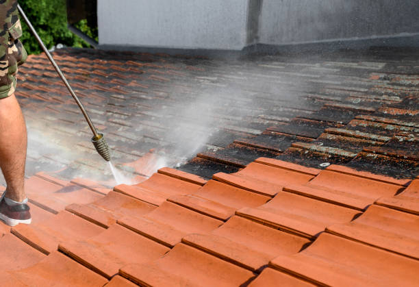 Best Residential Pressure Washing Services  in Mono Vista, CA