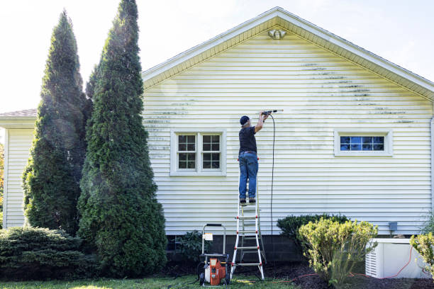 Best Sidewalk Pressure Washing  in Mono Vista, CA